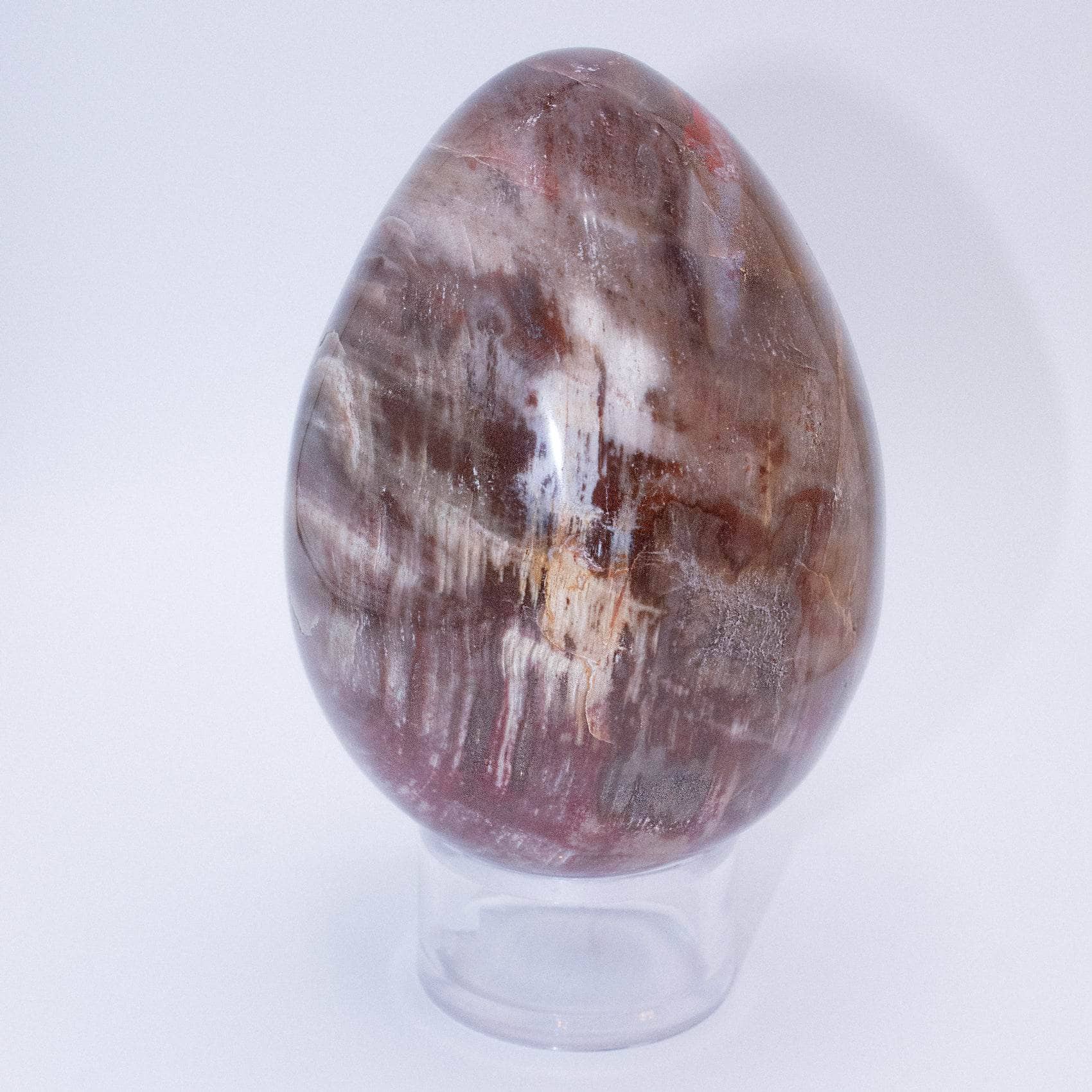 Petrified Wood Egg