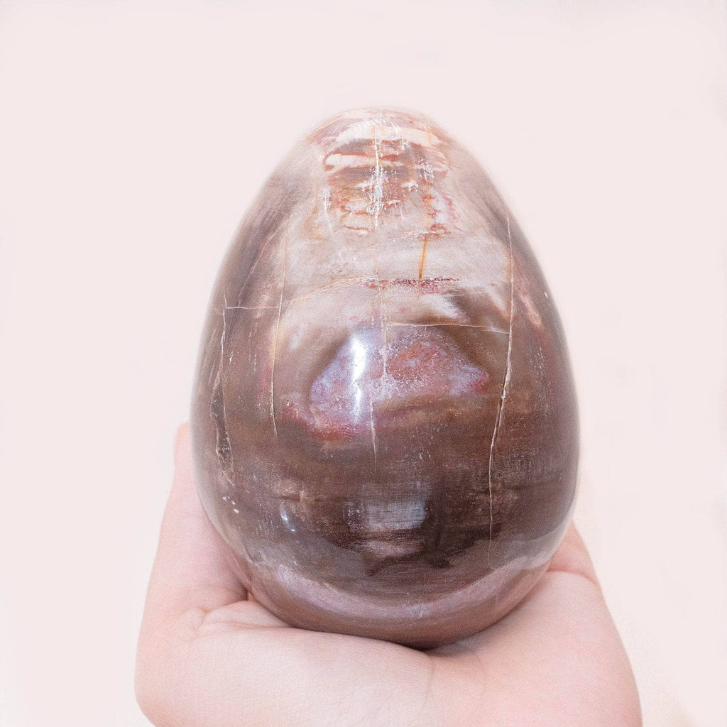 Petrified Wood Egg