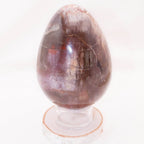 Petrified Wood Egg