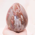 Petrified Wood Egg