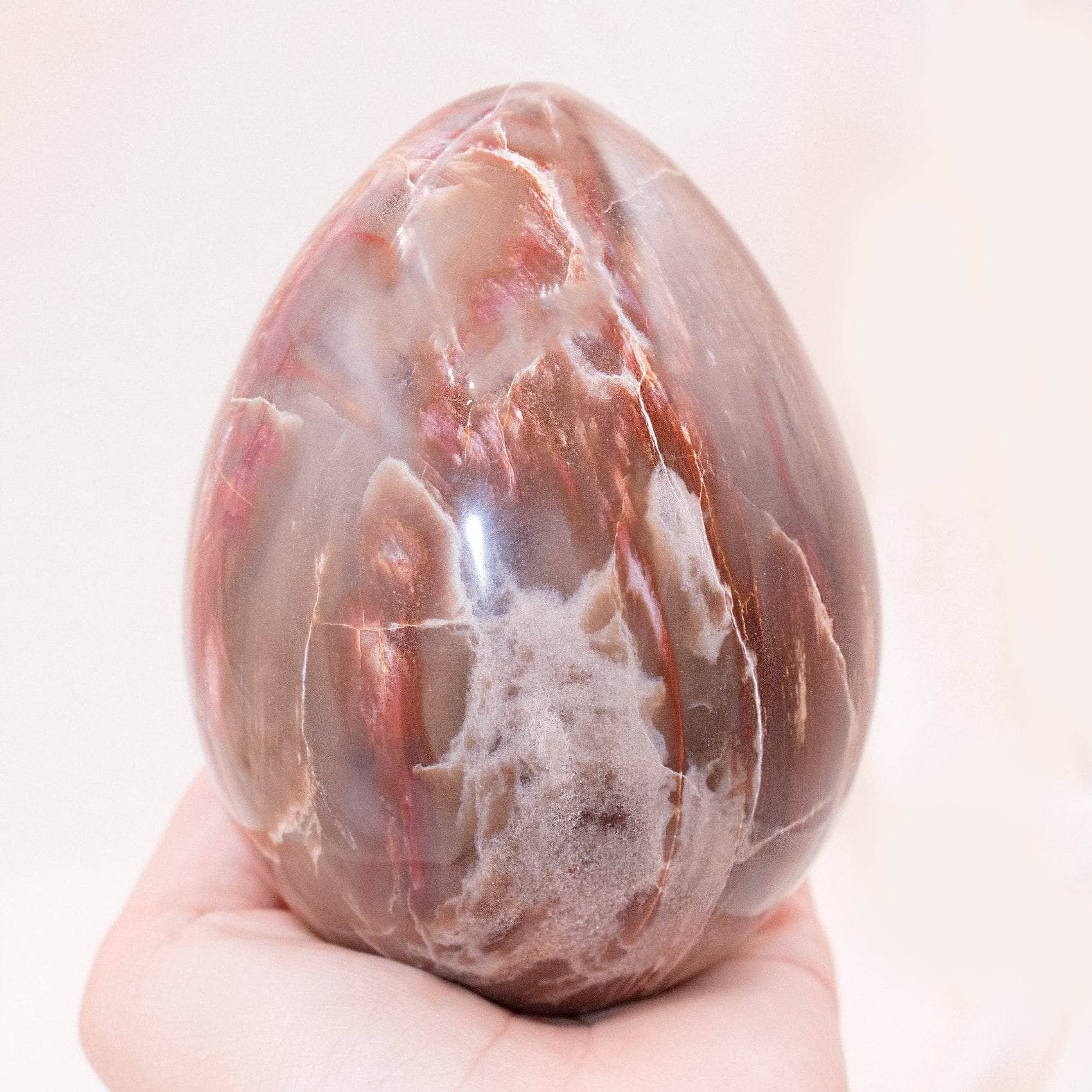 Petrified Wood Egg