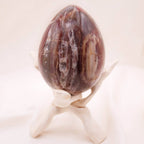 Petrified Wood Egg