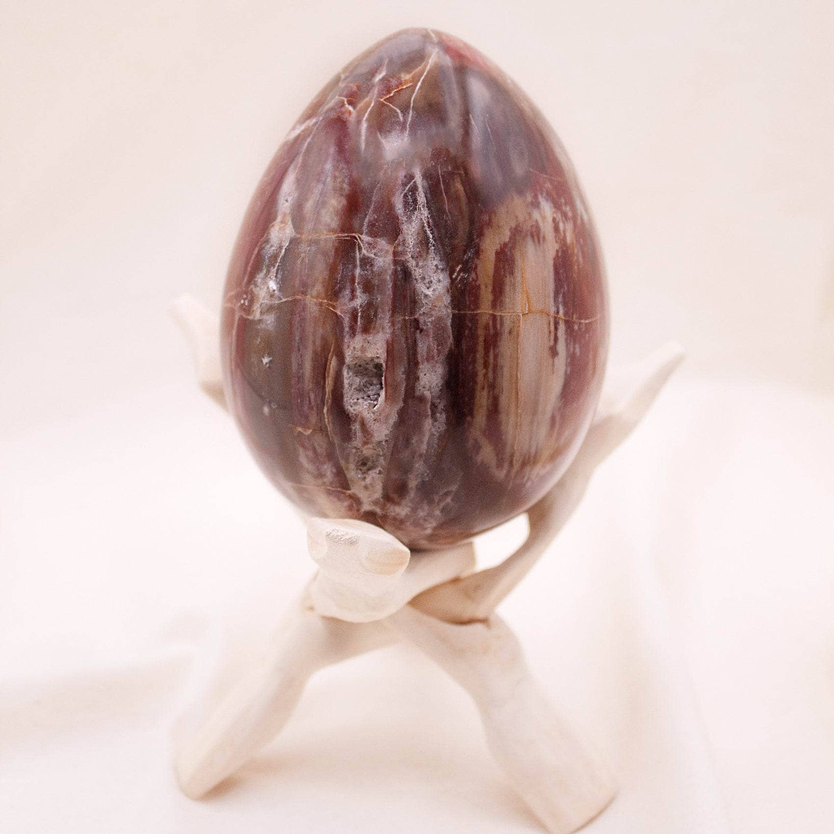 Petrified Wood Egg