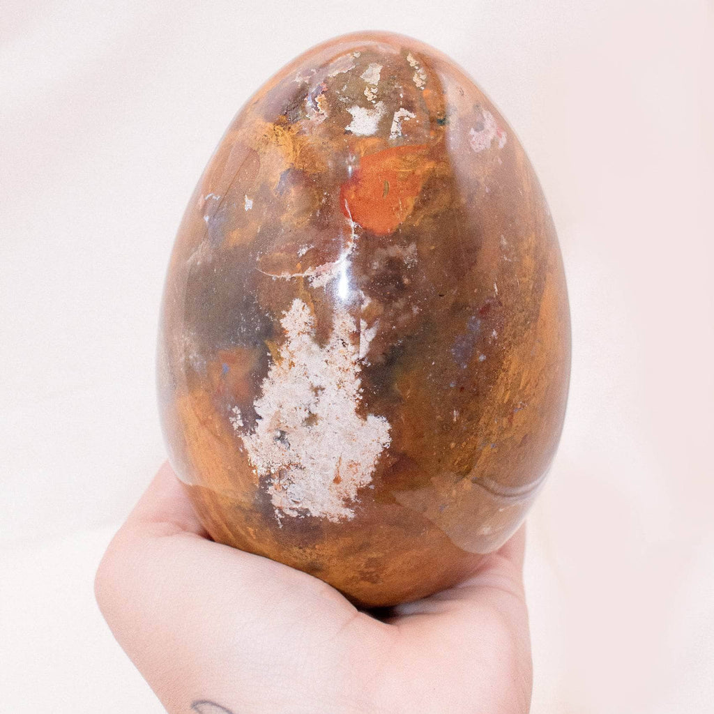 Petrified Wood Egg