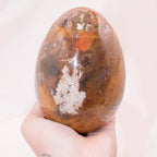 Petrified Wood Egg
