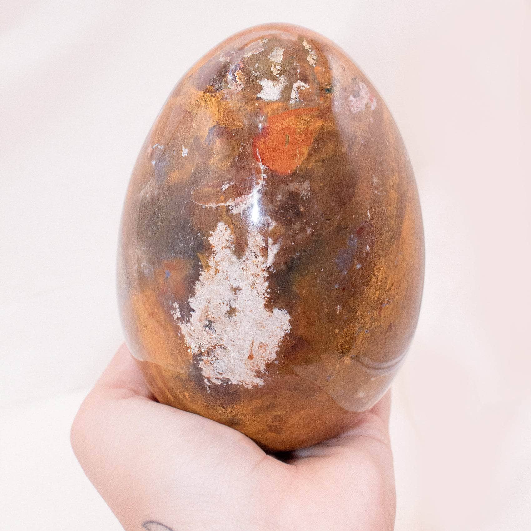 Petrified Wood Egg