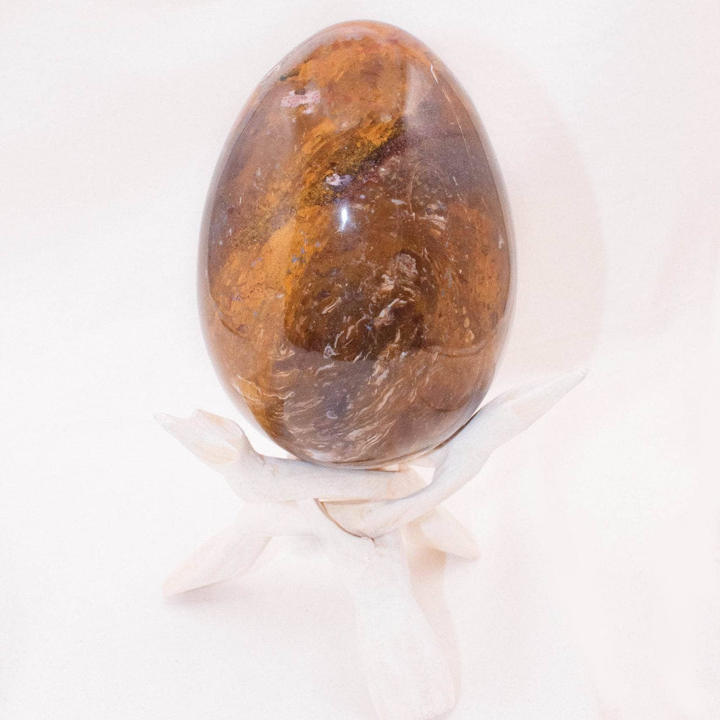 Petrified Wood Egg