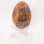 Petrified Wood Egg