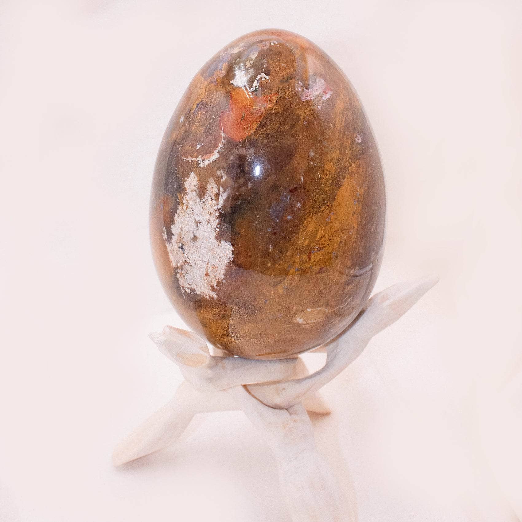 Petrified Wood Egg