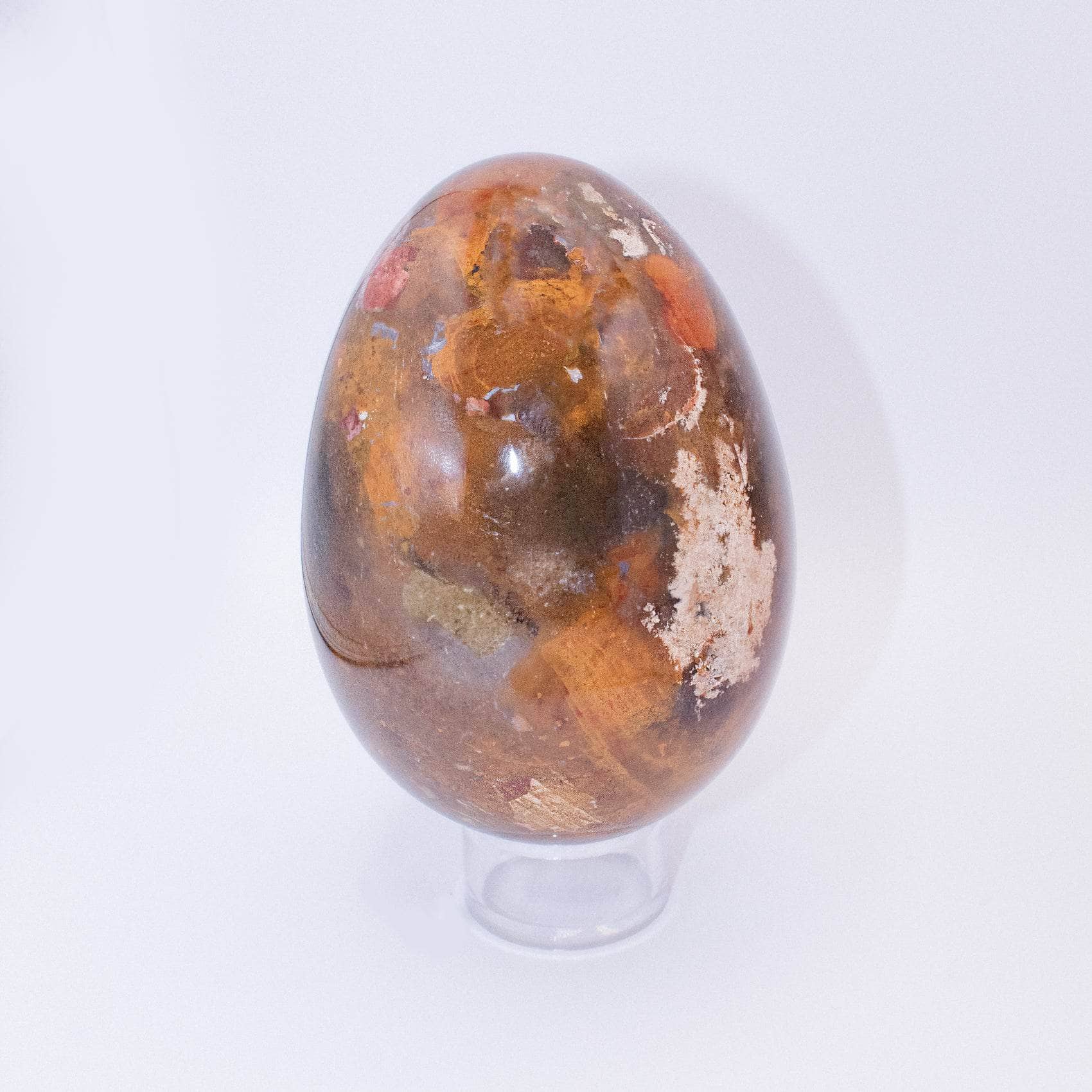 Petrified Wood Egg