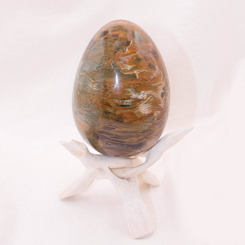 Petrified Wood Egg