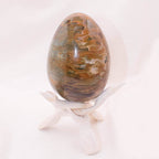 Petrified Wood Egg