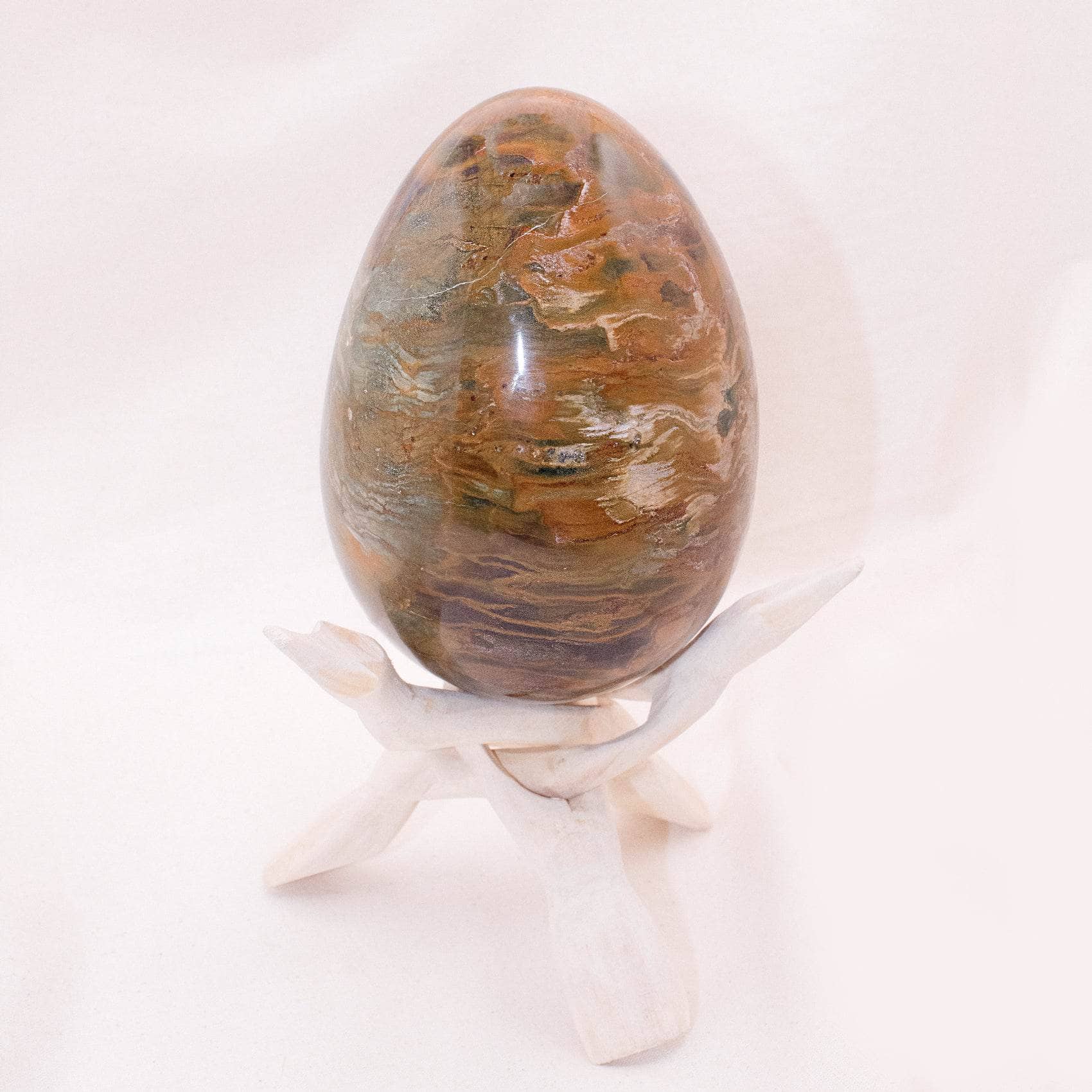 Petrified Wood Egg
