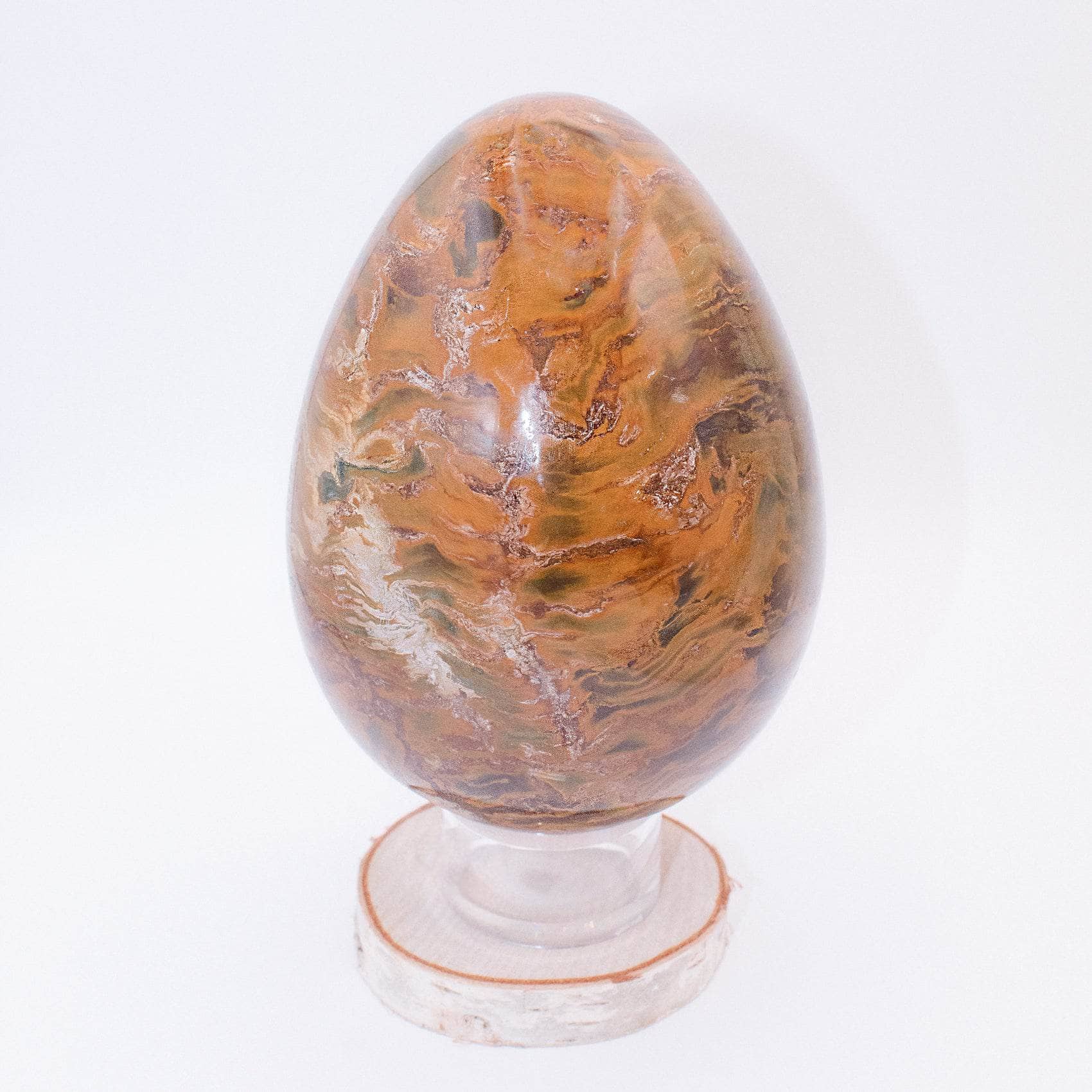 Petrified Wood Egg