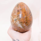 Petrified Wood Egg