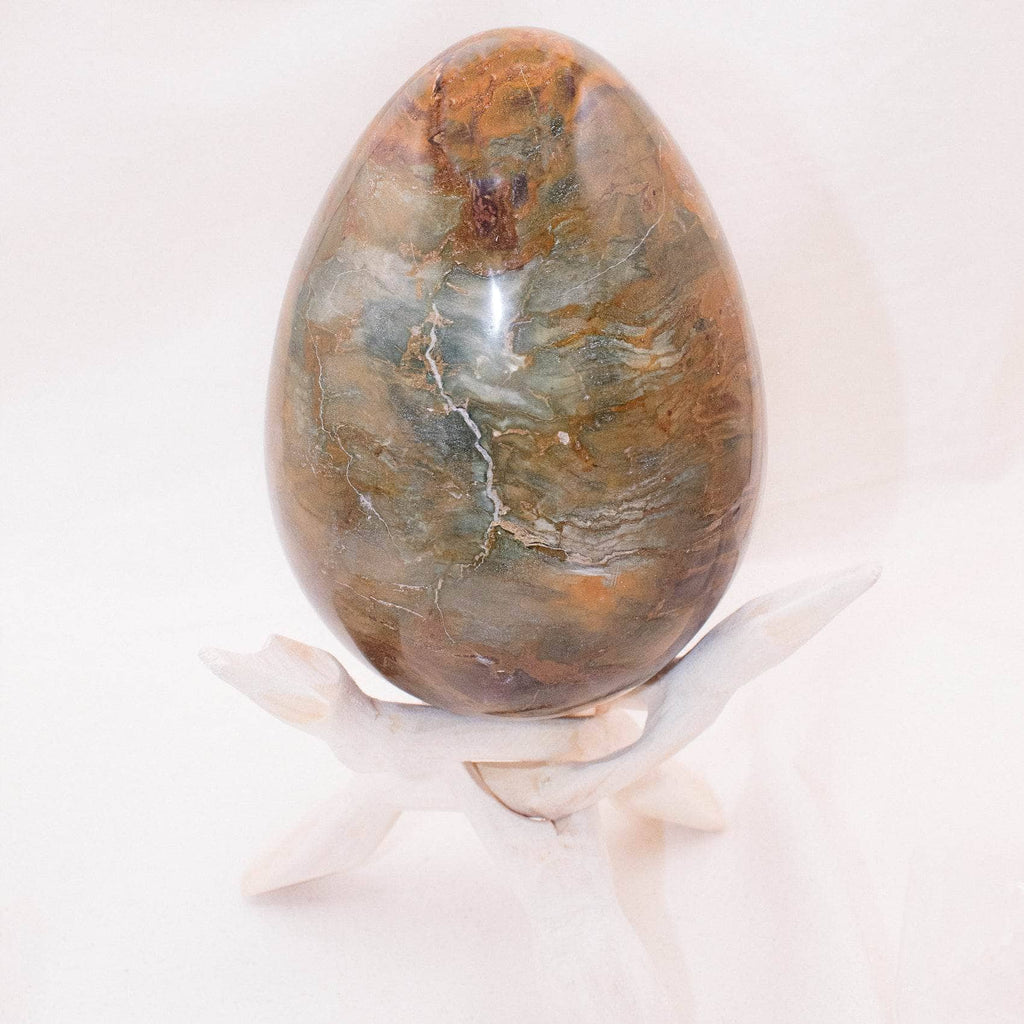 Petrified Wood Egg
