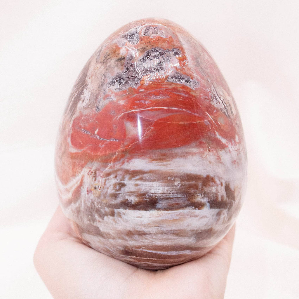 Petrified Wood Egg