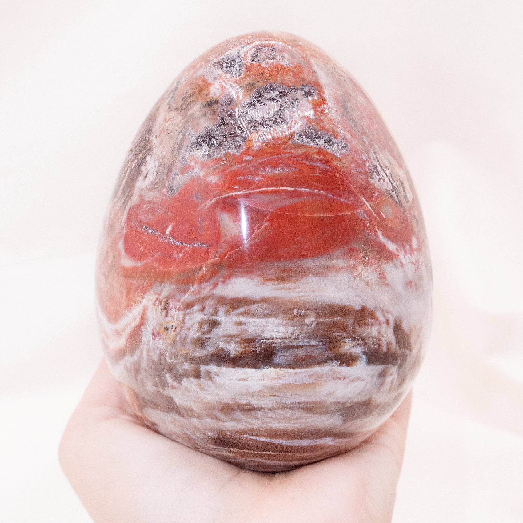 Petrified Wood Egg