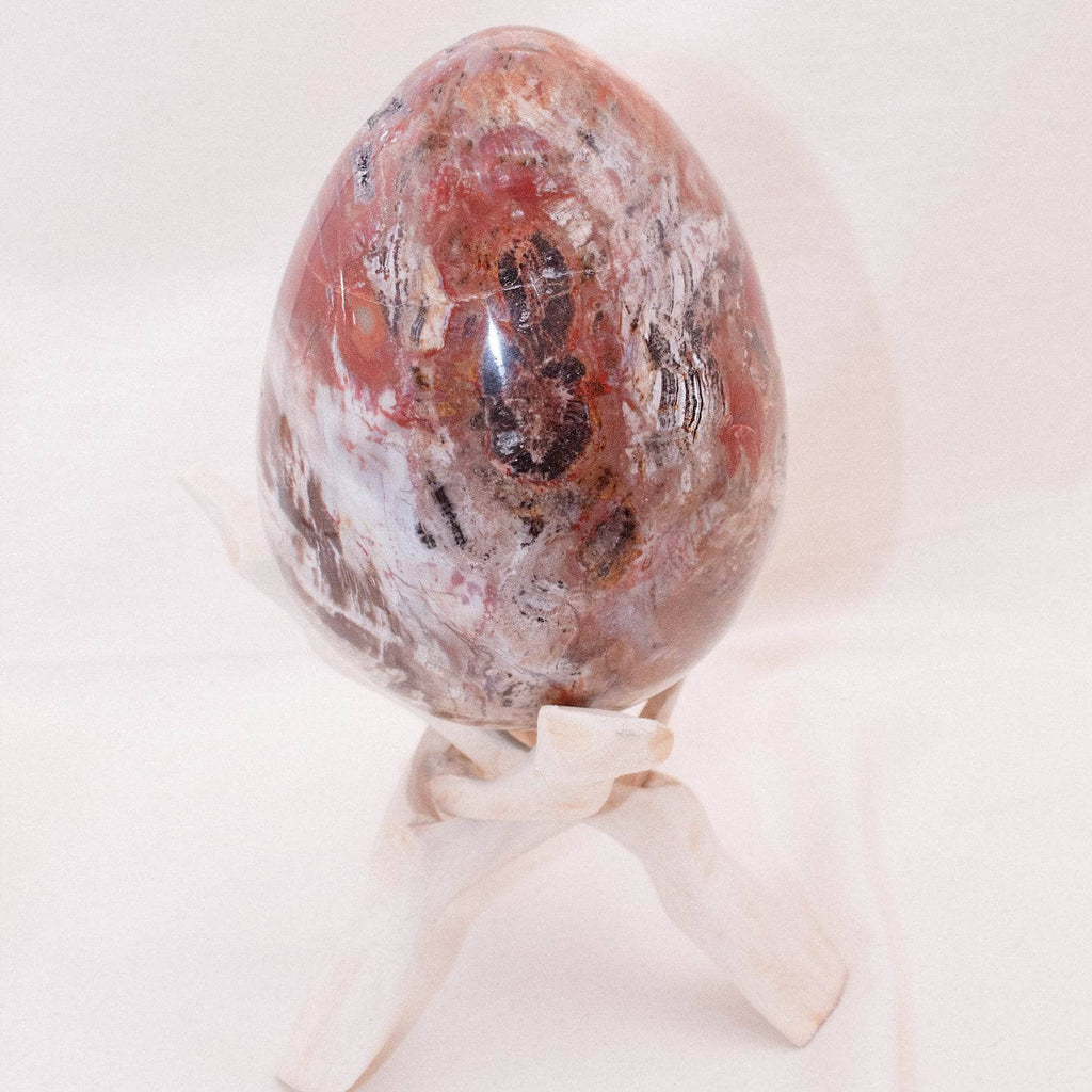 Petrified Wood Egg