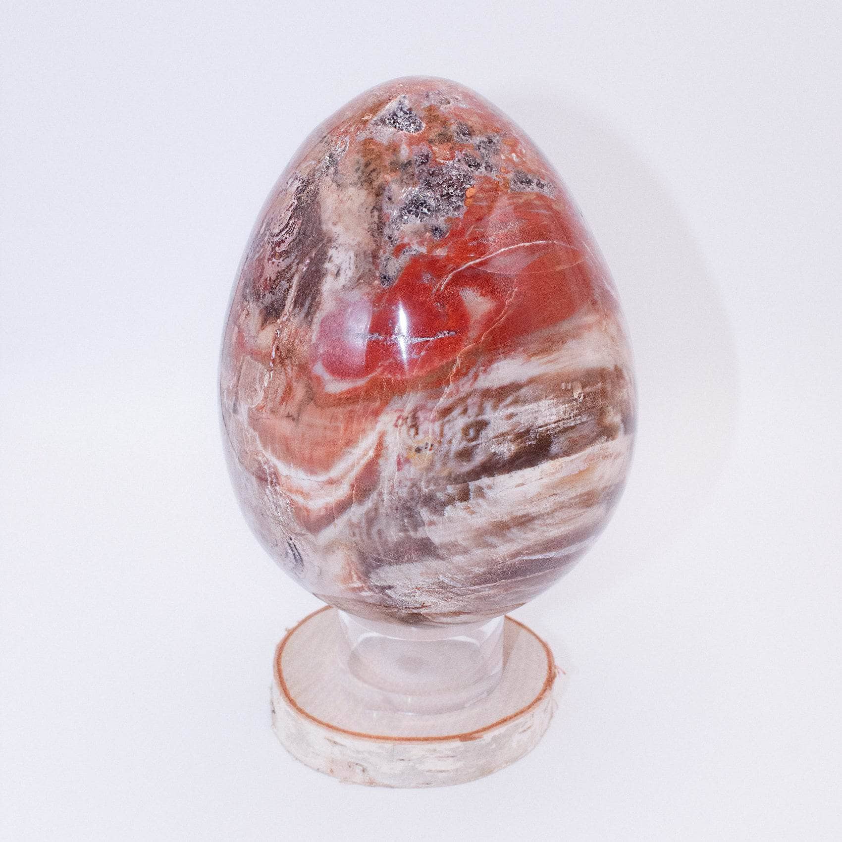 Petrified Wood Egg