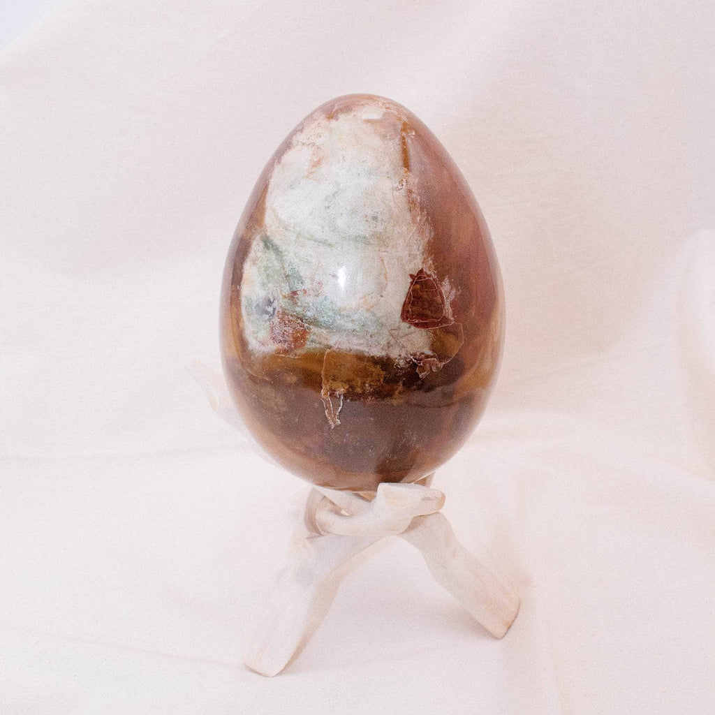 Petrified Wood Egg