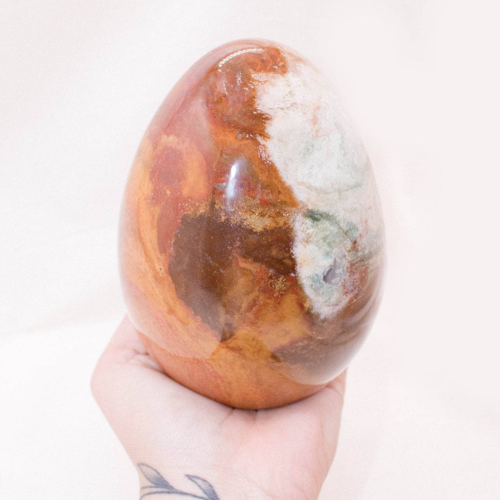 Petrified Wood Egg
