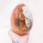 Petrified Wood Egg