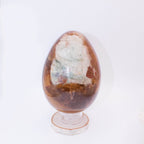 Petrified Wood Egg