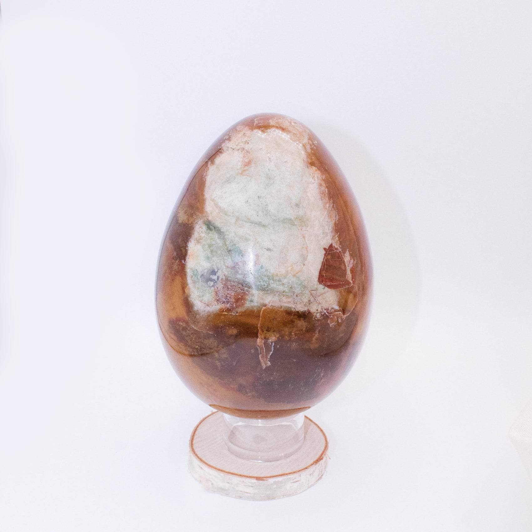 Petrified Wood Egg
