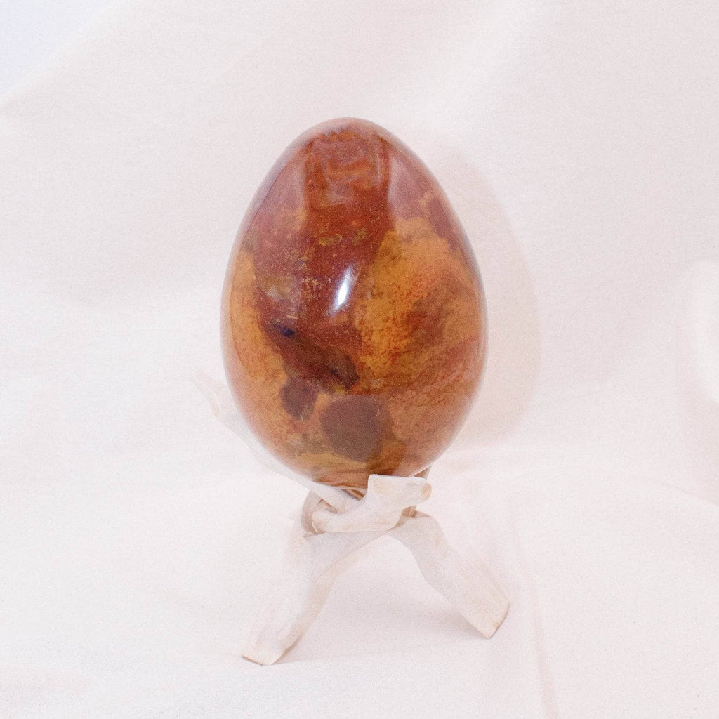 Petrified Wood Egg