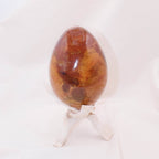 Petrified Wood Egg