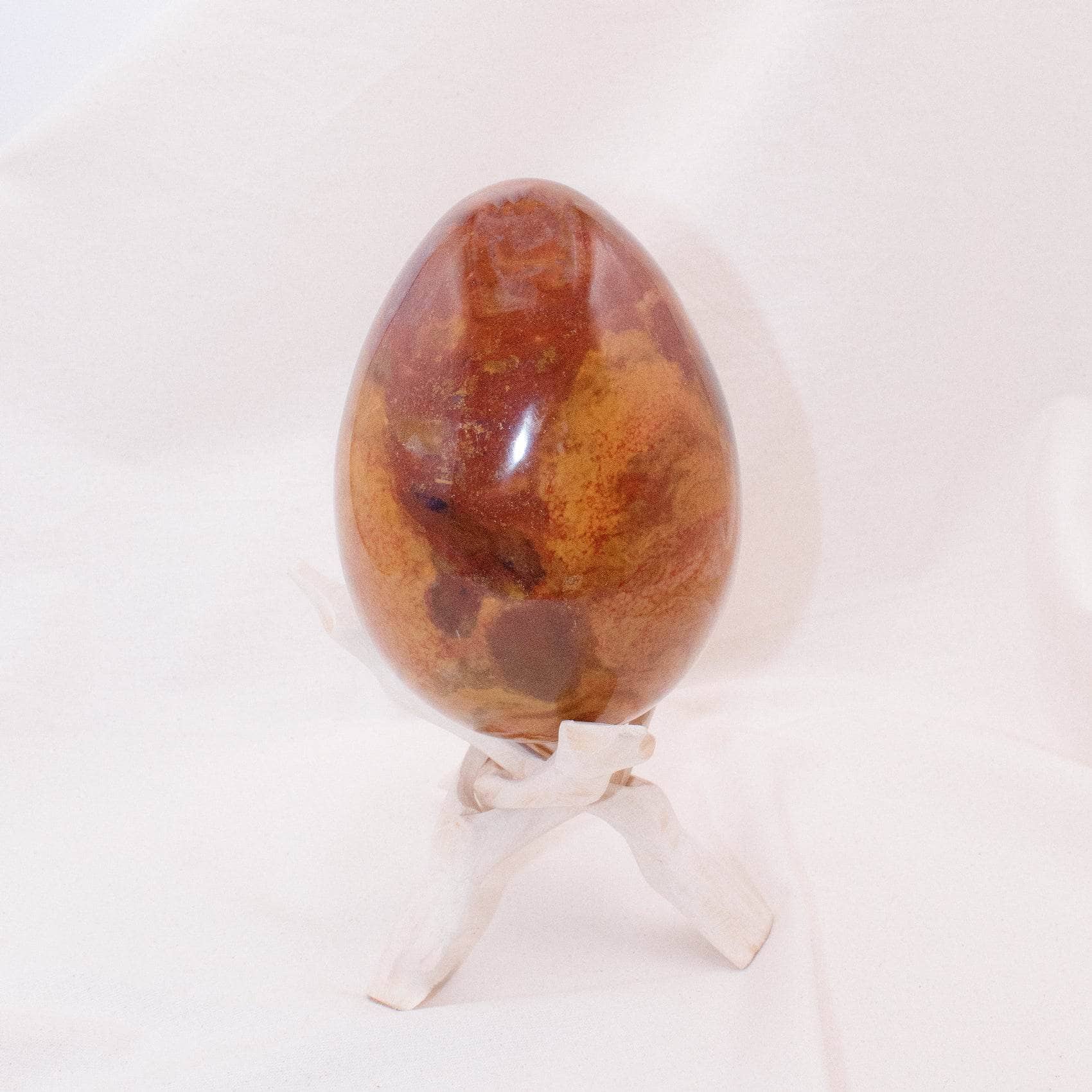 Petrified Wood Egg