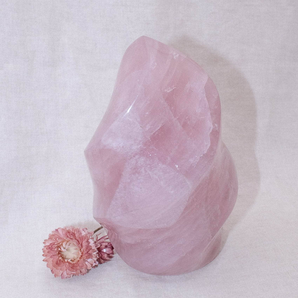 Rose Quartz Flame Crystals - 1 of a Kind