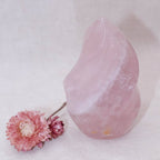 Rose Quartz Flame Crystals - 1 of a Kind