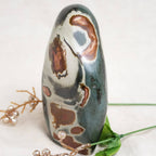 Polychrome Jasper Freeform
