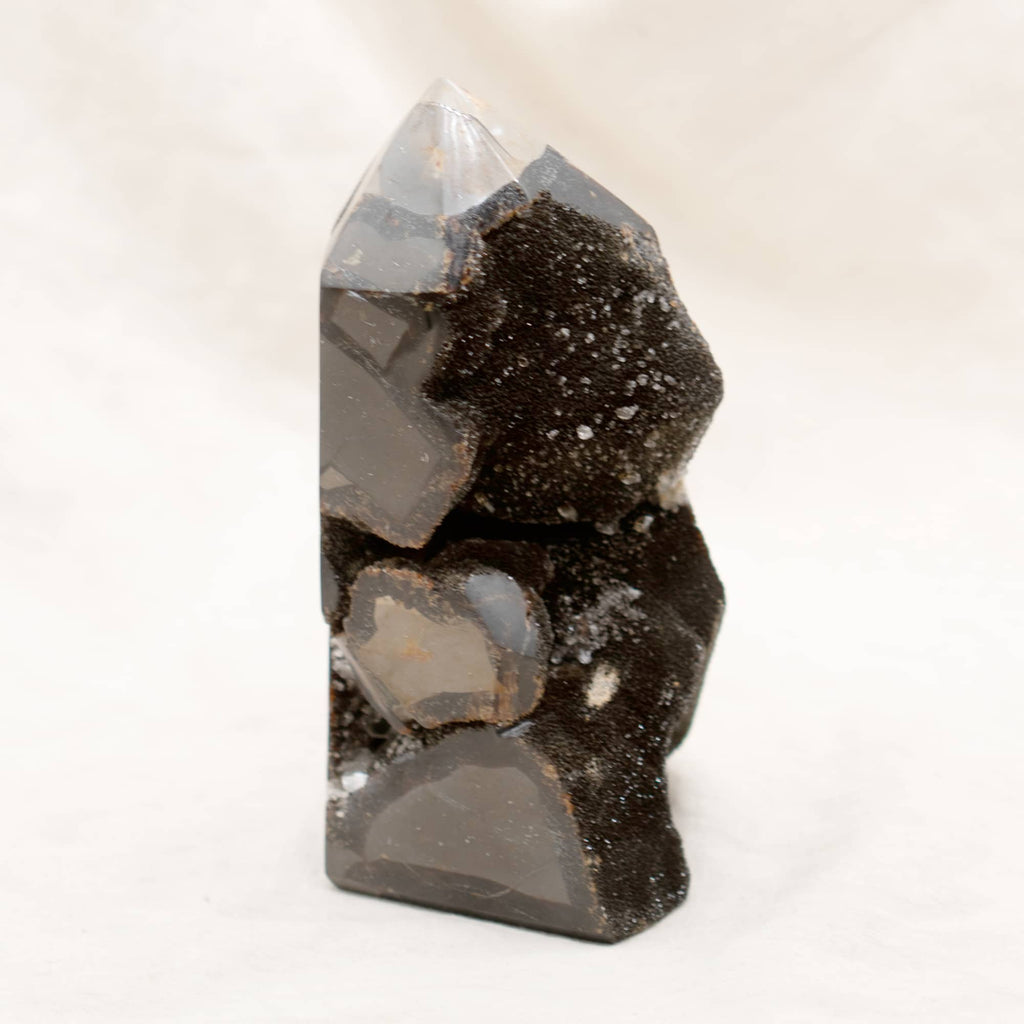 Rare Black Septarian Geode Freeform Crystal - 1 of a Kind