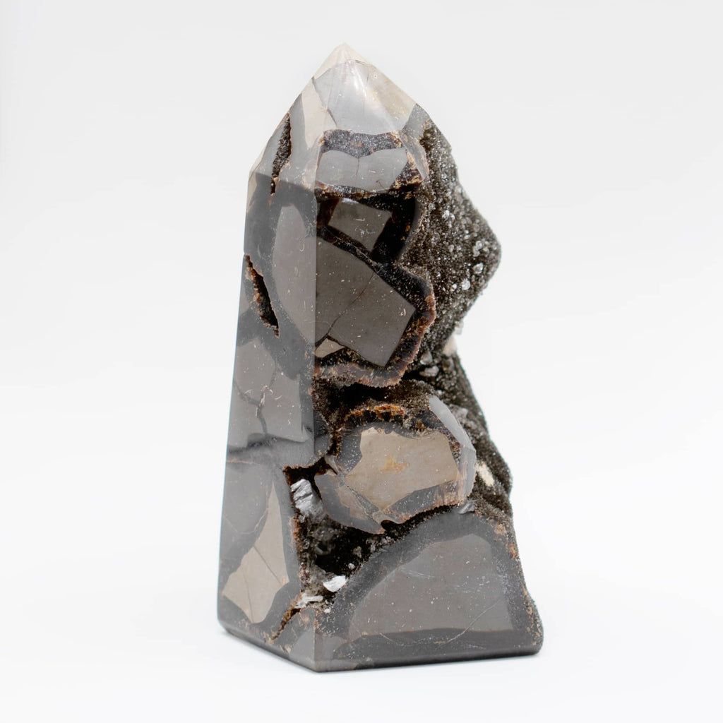Rare Black Septarian Geode Freeform Crystal - 1 of a Kind