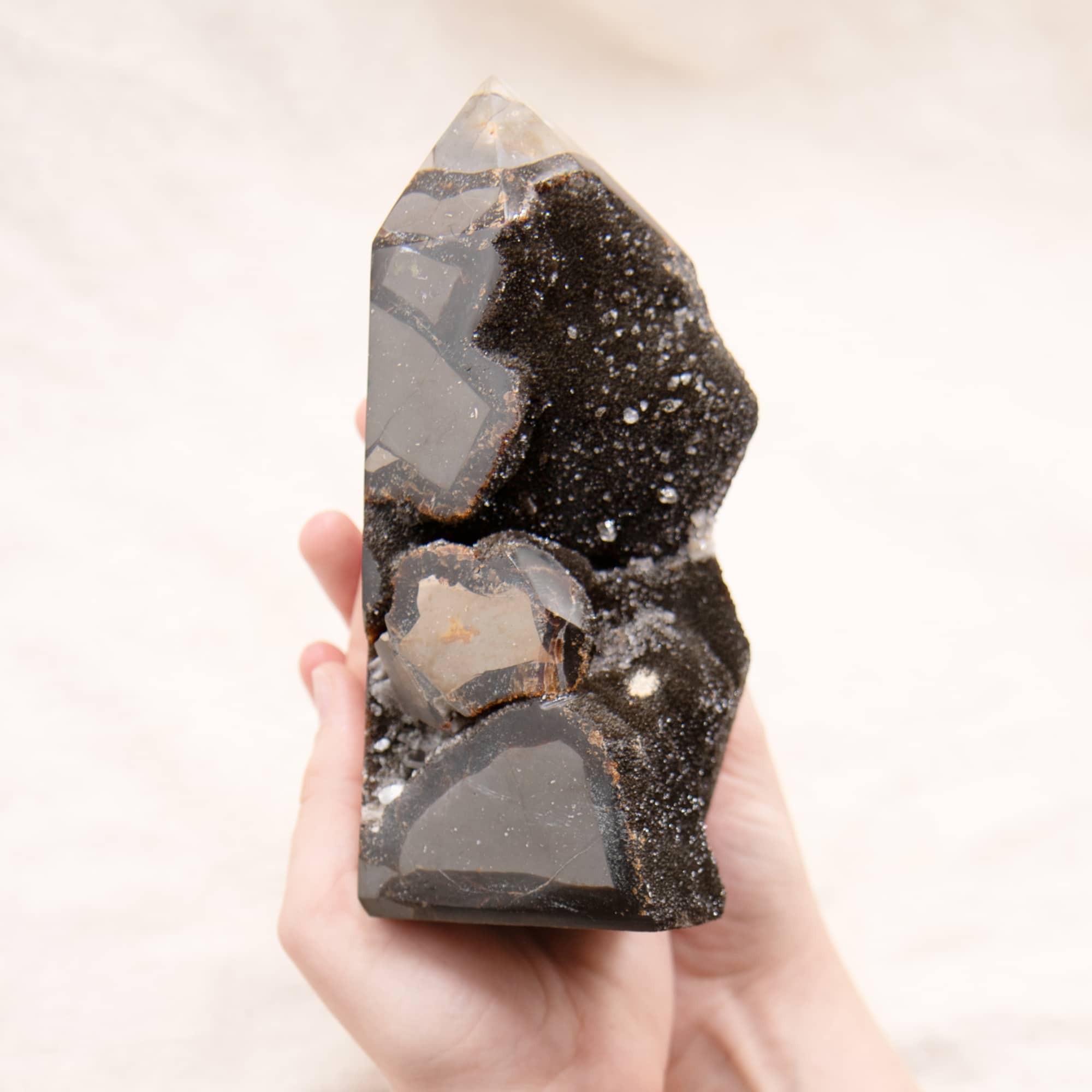 Rare Black Septarian Geode Freeform Crystal - 1 of a Kind