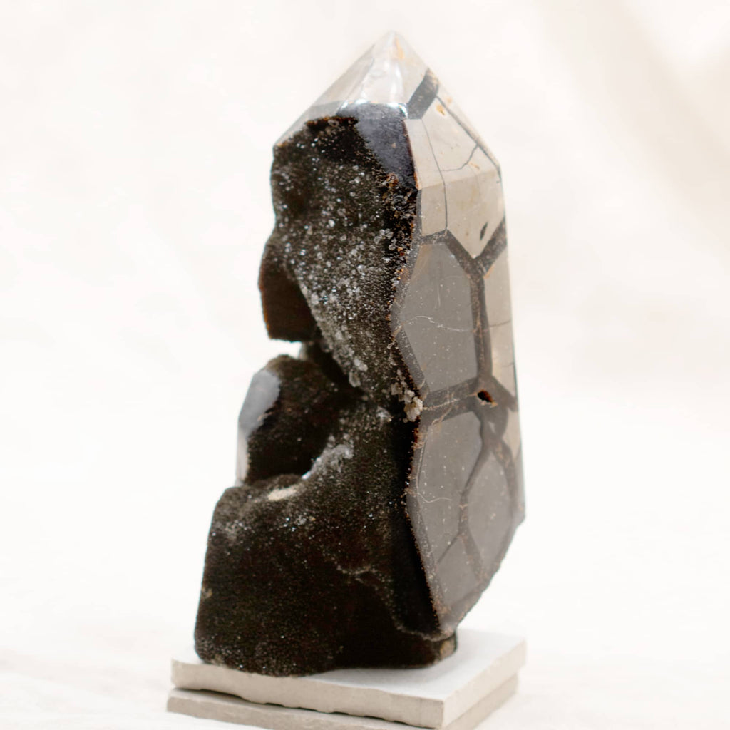 Rare Black Septarian Geode Freeform Crystal - 1 of a Kind