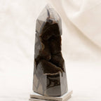 Rare Black Septarian Geode Freeform Crystal - 1 of a Kind