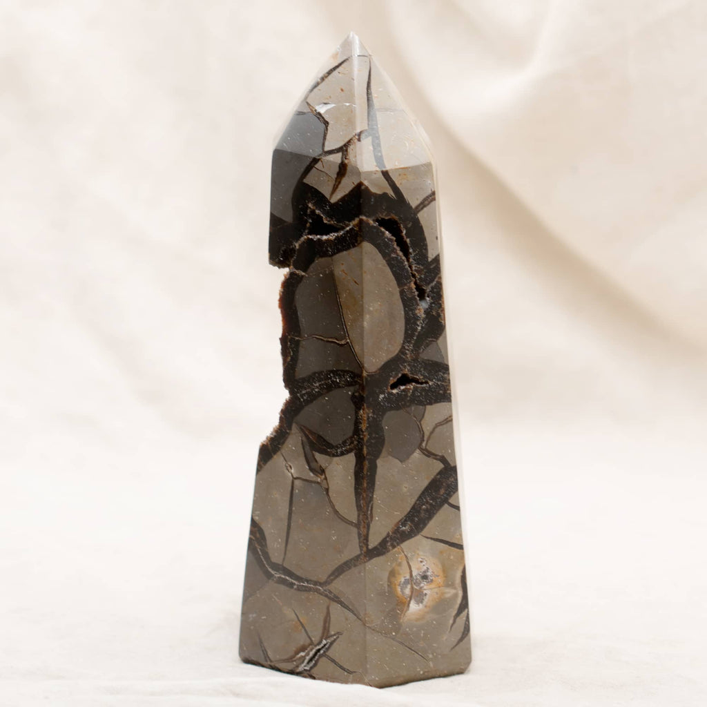 Rare Black Septarian Geode Freeform Crystal - 1 of a Kind