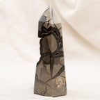 Rare Black Septarian Geode Freeform Crystal - 1 of a Kind