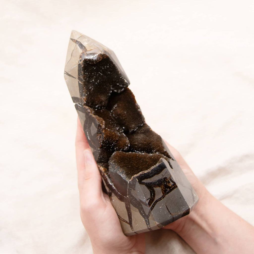 Rare Black Septarian Geode Freeform Crystal - 1 of a Kind