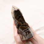 Rare Black Septarian Geode Freeform Crystal - 1 of a Kind