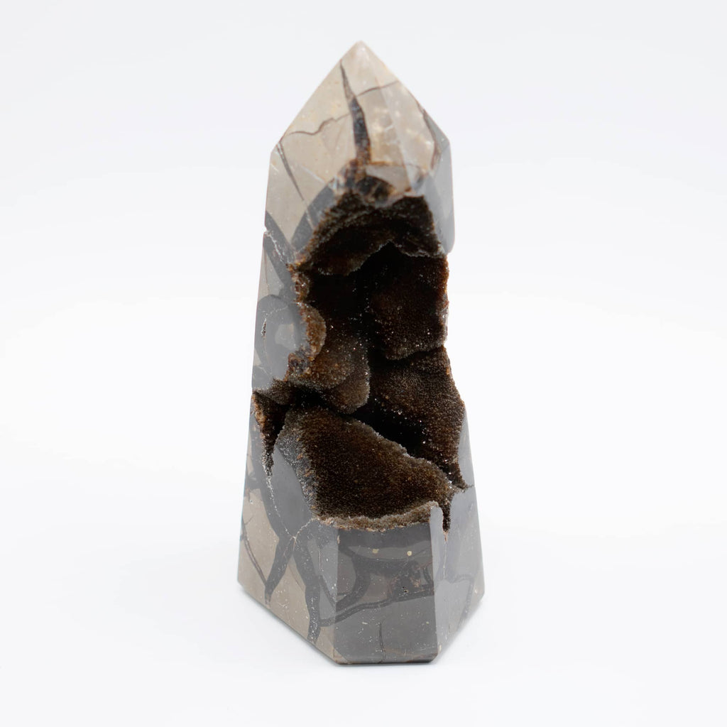 Rare Black Septarian Geode Freeform Crystal - 1 of a Kind