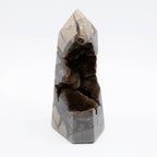 Rare Black Septarian Geode Freeform Crystal - 1 of a Kind