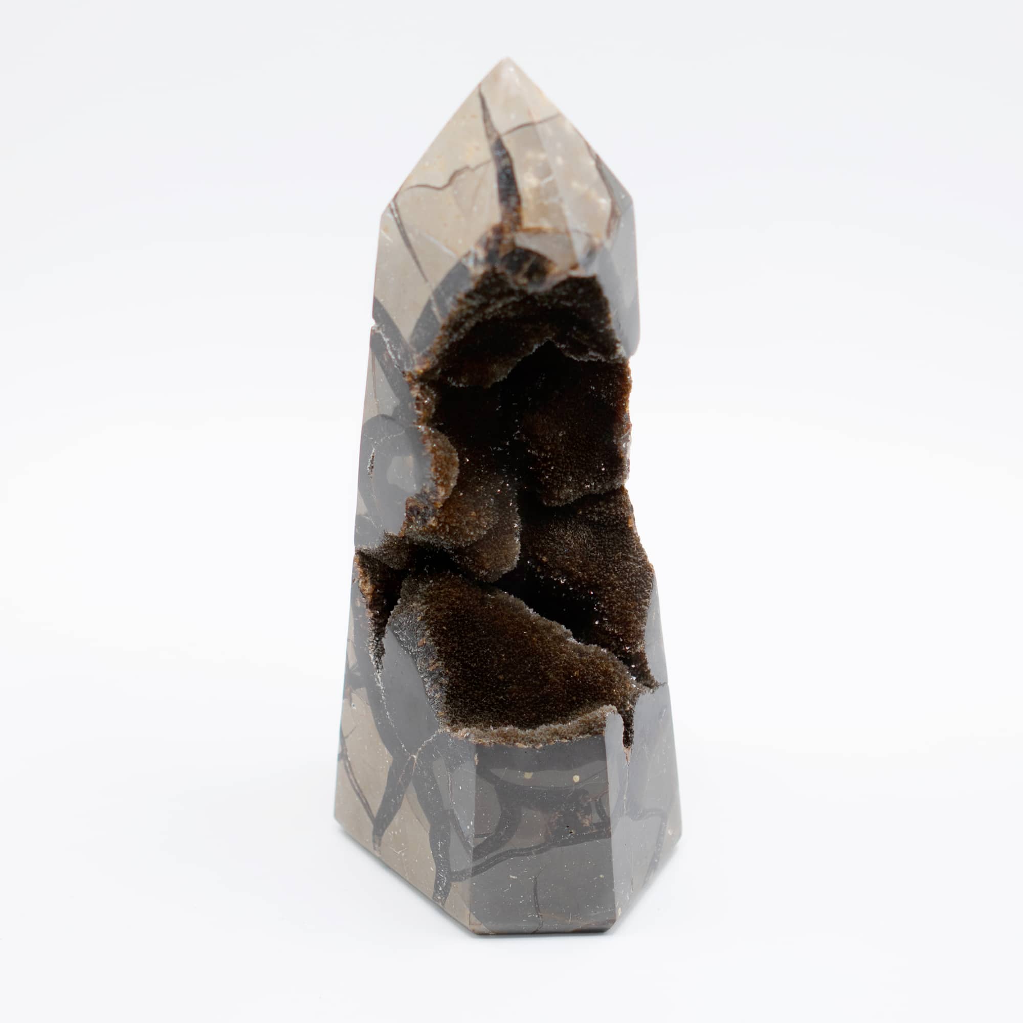 Rare Black Septarian Geode Freeform Crystal - 1 of a Kind