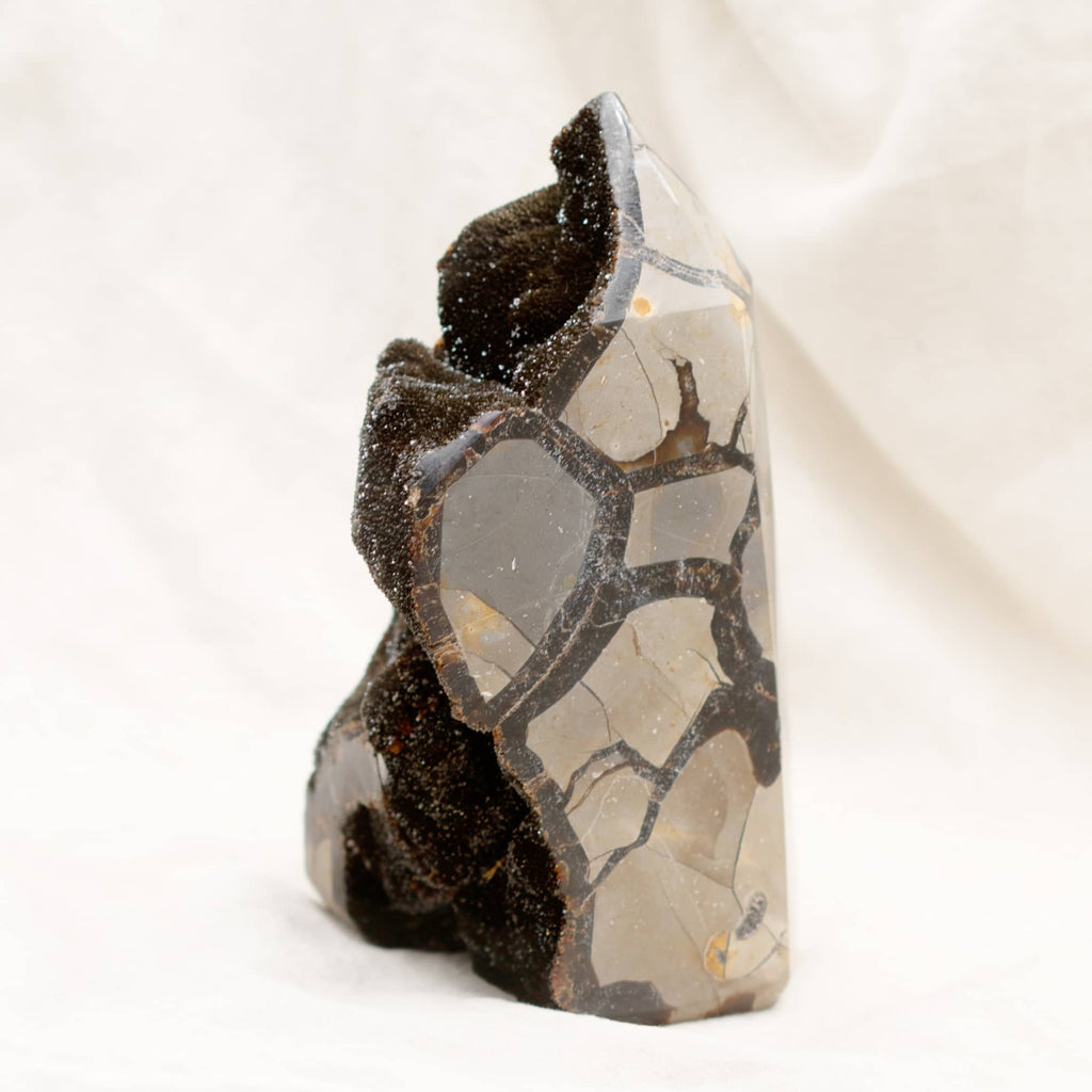 Rare Black Septarian Geode Freeform Crystal - 1 of a Kind