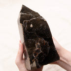 Rare Black Septarian Geode Freeform Crystal - 1 of a Kind