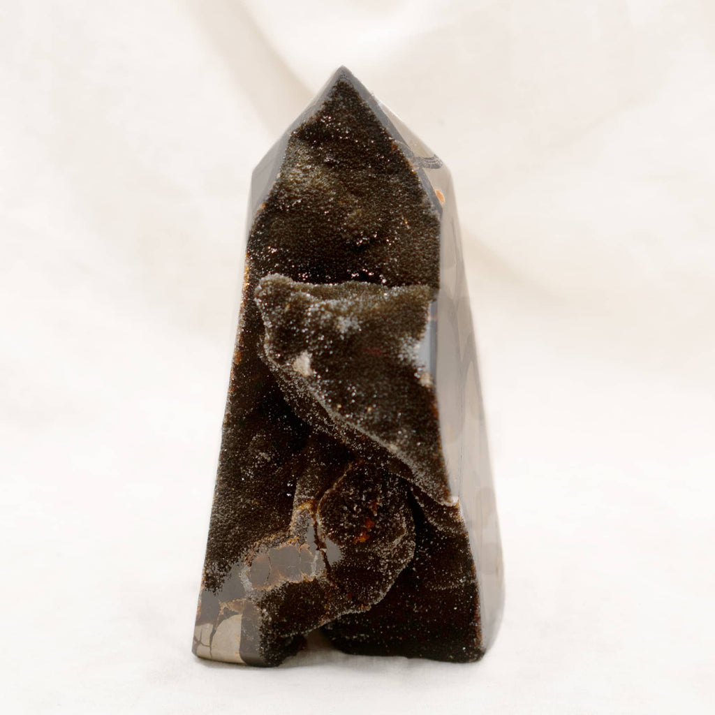 Rare Black Septarian Geode Freeform Crystal - 1 of a Kind